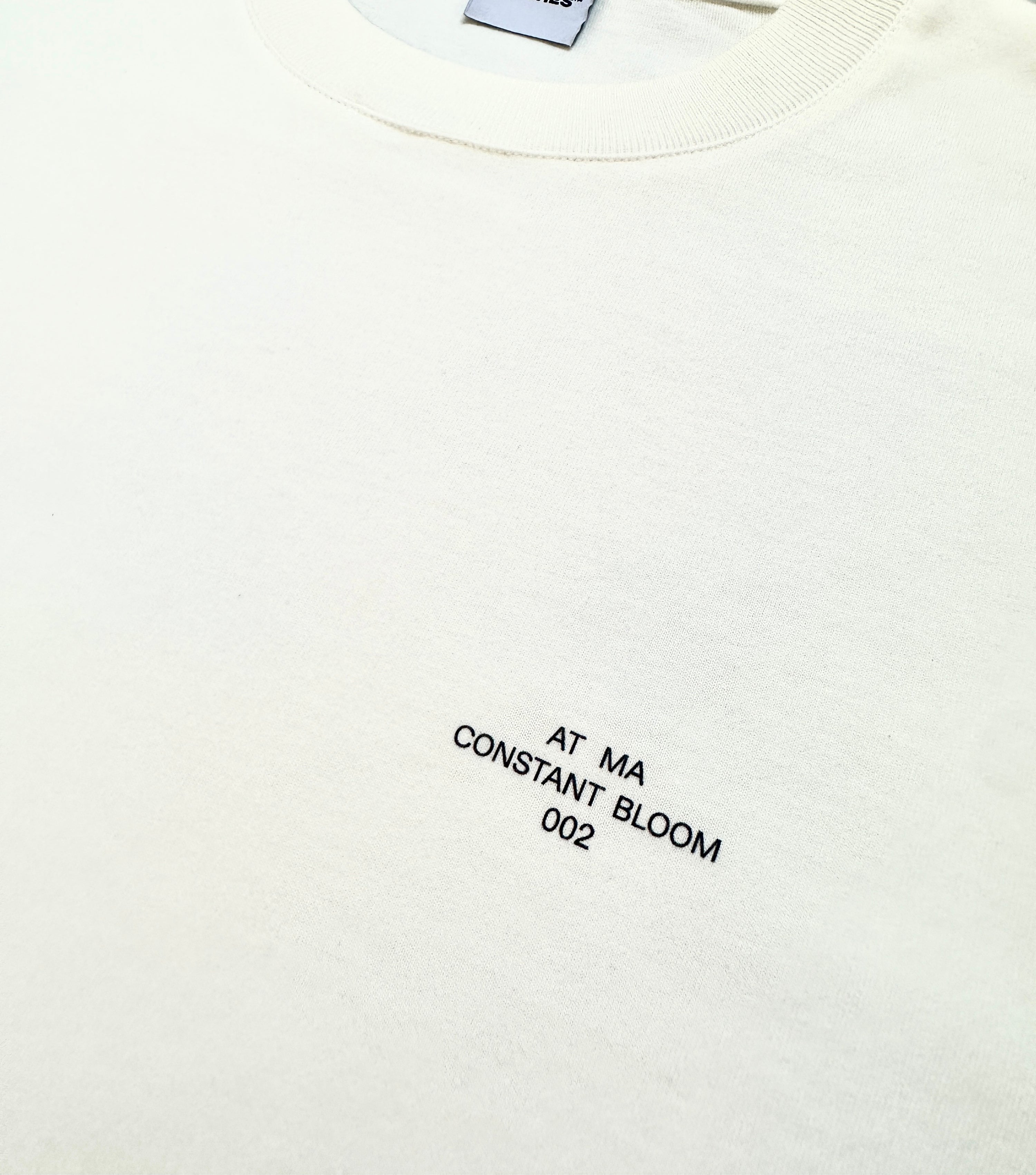 Busy Lizzy Oversized Fit T-Shirt 280GSM